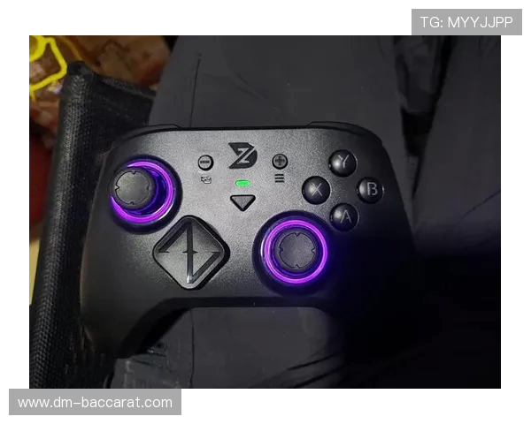 如何在以披萨游戏中开启手柄振动功能的详细步骤解析